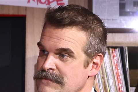 David Harbour Quits 'Behemoth!' Movie Starring Pedro Pascal, Olivia Wilde