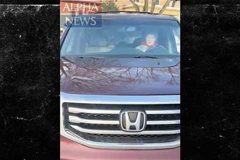 Minneapolis ICE Shooting Video From Agent's POV