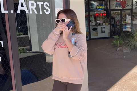 Ashley Tisdale Spotted in Public for First Time Since 'Toxic Mom Group' Drama