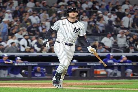 Austin Wells has concerning reply to Cody Bellinger’s Instagram post as Yankees fans plead for free ..