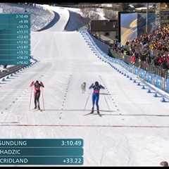 Dog crashes cross-country ski event in wild Olympics scene