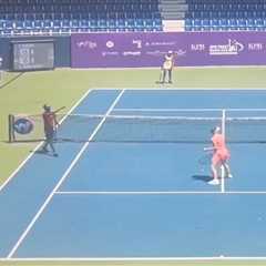 Tennis players run for cover after bees invade stadium in chaotic scene