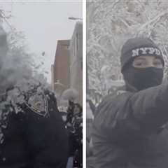 NYPD Investigating After Crowd Pelted Officers With Snowballs, on Video