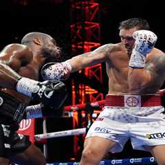 Oleksandr Usyk, kickboxer Rico Verhoeven agree to bout at Pyramids of Giza