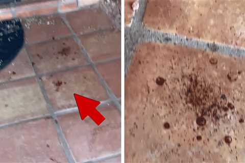 Video Shows Blood Outside Home of 'TODAY' Anchor Savannah Guthrie's Missing Mom