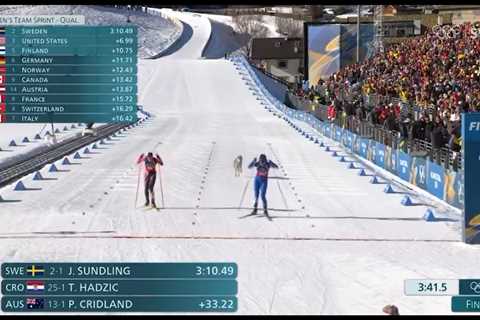 Dog crashes cross-country ski event in wild Olympics scene