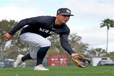 The questions the Yankees must answer to complete roster — with Ben Rice, Anthony Volpe wrinkles