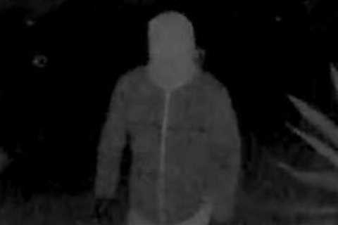 Nancy Guthrie Kidnapper Still Photo Did Not Produce Any Significant Leads