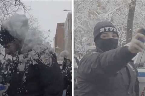 NYPD Investigating After Crowd Pelted Officers With Snowballs, on Video