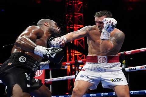 Oleksandr Usyk, kickboxer Rico Verhoeven agree to bout at Pyramids of Giza