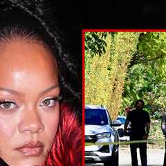 Rihanna's Beverly Hills Home Targeted in Shooting, Suspect in Custody