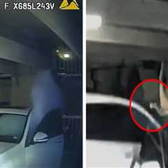 Jasmine Crockett's Security Guard Fatally Shot by SWAT Team in Standoff, on Video