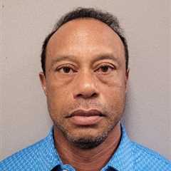 Tiger Woods should quit after latest DUI crash, Brandel Chamblee says: ‘Why would he need to play..