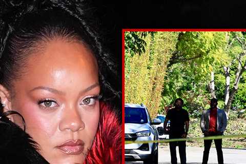 Rihanna's Beverly Hills Home Targeted in Shooting, Suspect in Custody