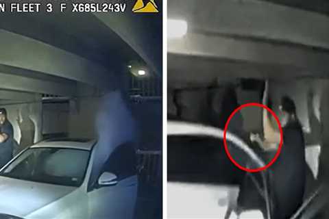 Jasmine Crockett's Security Guard Fatally Shot by SWAT Team in Standoff, on Video