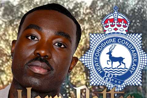 'Harry Potter' Series Racist Death Threats Get UK Police Attention