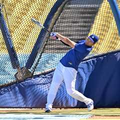 Shohei Ohtani takes rare on-field batting practice, says swing is ‘a little off’