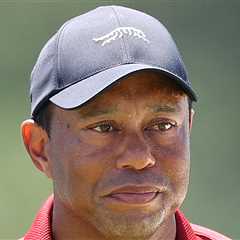 Tiger Woods Cited for Careless Driving on Top of DUI Charge