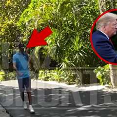 Tiger Woods Called President Donald Trump From Scene After Flipping Car