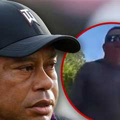 Tiger Woods Crash Victim Hires Lawyer