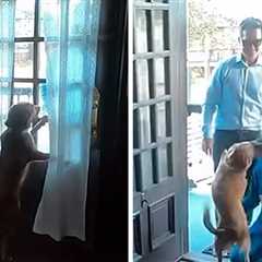 Astronaut Christina Koch’s Joyful Dog Reunion After Artemis II, on Video