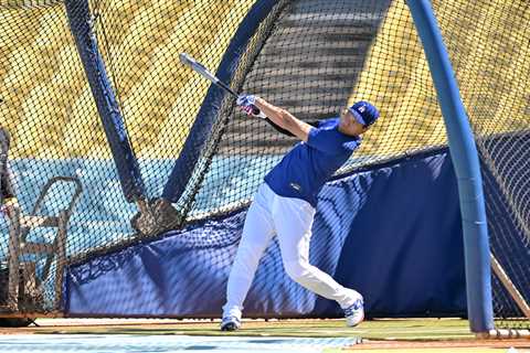 Shohei Ohtani takes rare on-field batting practice, says swing is ‘a little off’