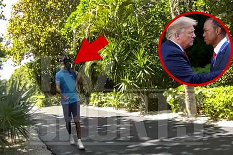 Tiger Woods Called President Donald Trump From Scene After Flipping Car