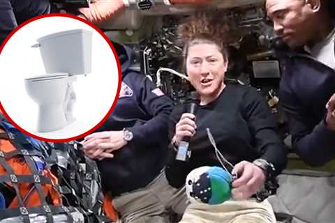 'Space Plumber' Christina Koch Details Artemis II Toilet Problems