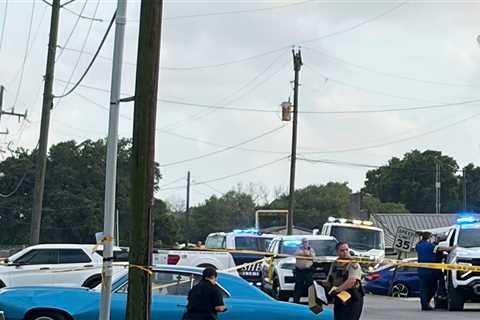 15 Injured After Car Slams Into Crowd at Louisiana Parade