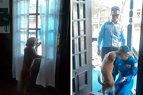 Astronaut Christina Koch’s Joyful Dog Reunion After Artemis II, on Video