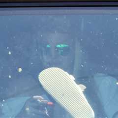 Britney Spears Spotted for First Time Since Leaving Rehab, See Pics
