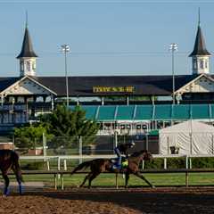 Dave Portnoy’s horse makes Kentucky Oaks field — and money is pouring in