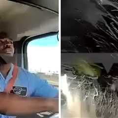 Deliveryman Miraculously Survives Plane Crashing Into His Tractor-Trailer: Video