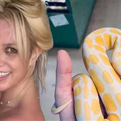 Britney Spears on a ‘Spiritual Journey’ Post-DUI Plea Deal, Posts Photo of Snake