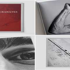 “Pomegranates” by Photographer João Lutz
