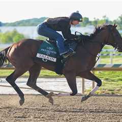 2026 Preakness Stakes picks: Best long-shot bets to win middle jewel of the Triple Crown