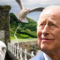 King Charles Pooped On By Seagull, 'At Least It Didn't Land on My Head'