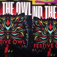 Who (Who Who) Is The Festive Owl? The Man Behind the Anonymous Festival News Channel Speaks