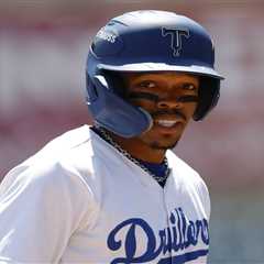 Dodgers stud prospect injured after freak encounter with team bat dog