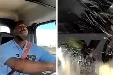 Deliveryman Miraculously Survives Plane Crashing Into His Tractor-Trailer: Video