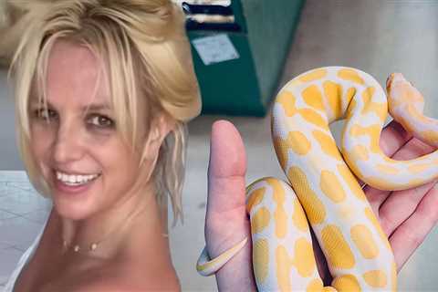 Britney Spears on a ‘Spiritual Journey’ Post-DUI Plea Deal, Posts Photo of Snake