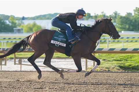 2026 Preakness Stakes picks: Best long-shot bets to win middle jewel of the Triple Crown