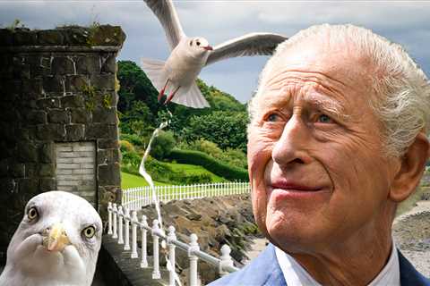 King Charles Pooped On By Seagull, 'At Least It Didn't Land on My Head'