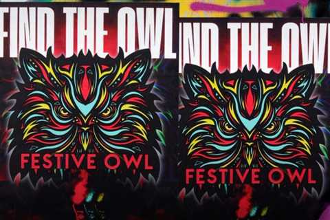 Who (Who Who) Is The Festive Owl? The Man Behind the Anonymous Festival News Channel Speaks