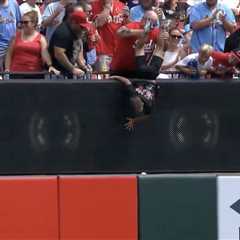 Reds fan has strange defense for dangling child over wall