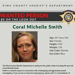 Woman Arrested for Different Alleged Kidnapping, Assault Near Nancy Guthrie's Home