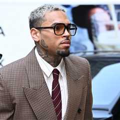 Chris Brown Testifies in Housekeeper Dog Attack Trial, Says He Left Scene to Avoid Media ‘Circus’