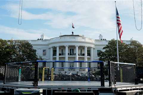 UFC White House predictions: Freedom 250 odds, picks, best bets Sunday
