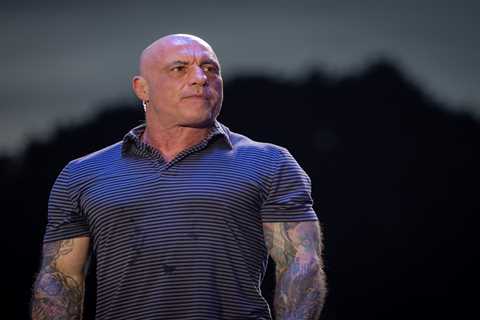 Joe Rogan makes wild claim about UFC White House viewership