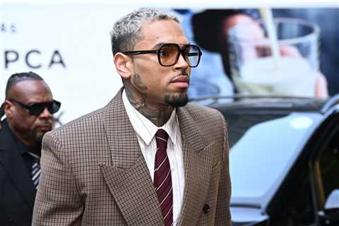 Chris Brown Testifies in Housekeeper Dog Attack Trial, Says He Left Scene to Avoid Media ‘Circus’